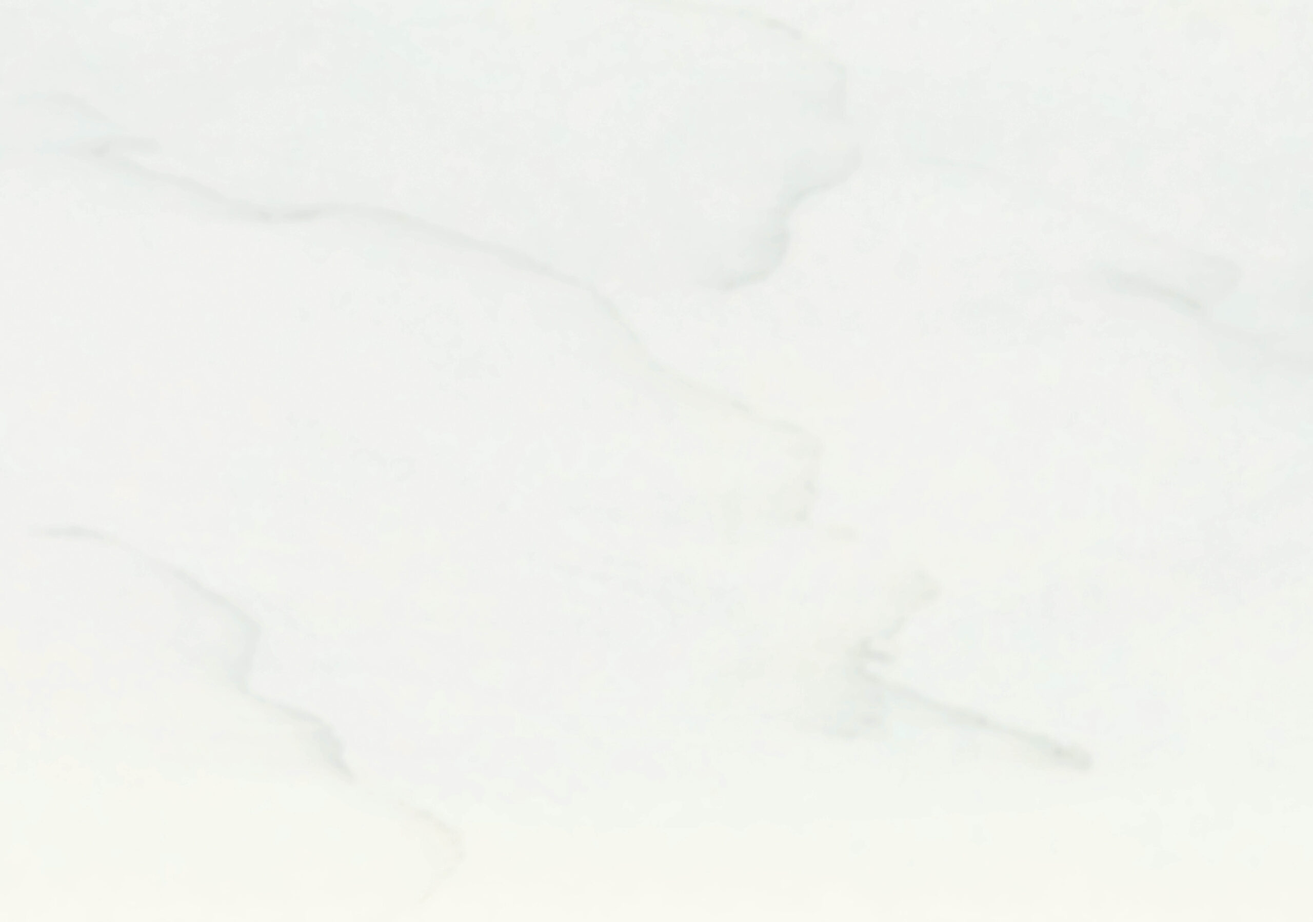 VC 110 Supreme Cotton White scaled 1 VC 110 Supreme Cotton White scaled 1