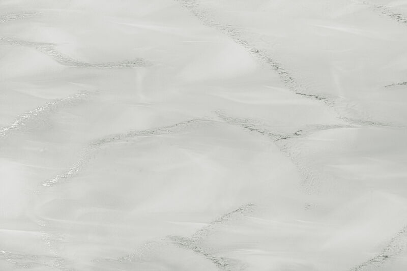 VM-005 Venato Stella_ Detail-small